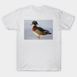 Duck du jour - Wood Duck T-Shirt